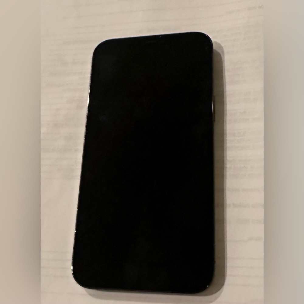 iPhone 12 Pro Max 256 GB